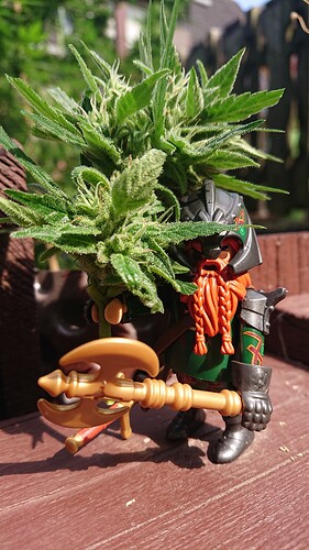 Growreport Bild 22