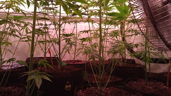 Growreport Bild 47