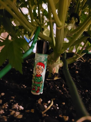 Growreport Bild 7