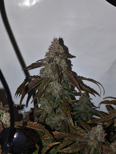 MVIMG_20251128_150050