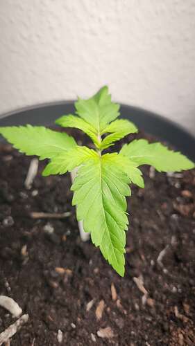 IMG-20240602-WA0000