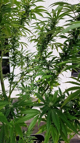 Growreport Bild 6