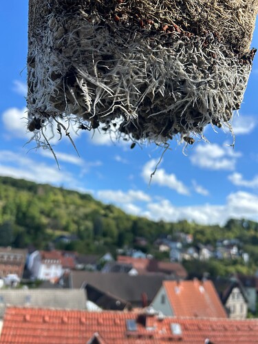 Growreport Bild 23