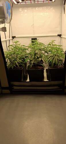 Growreport Bild 19