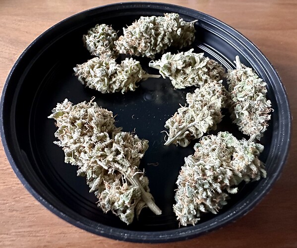 Growreport Bild 6