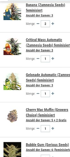 Growreport Bild 11