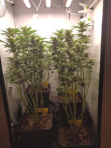 Growreport Bild 24