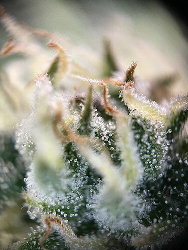 Growreport Bild 23