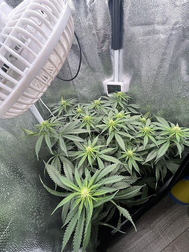 Growreport Bild 9