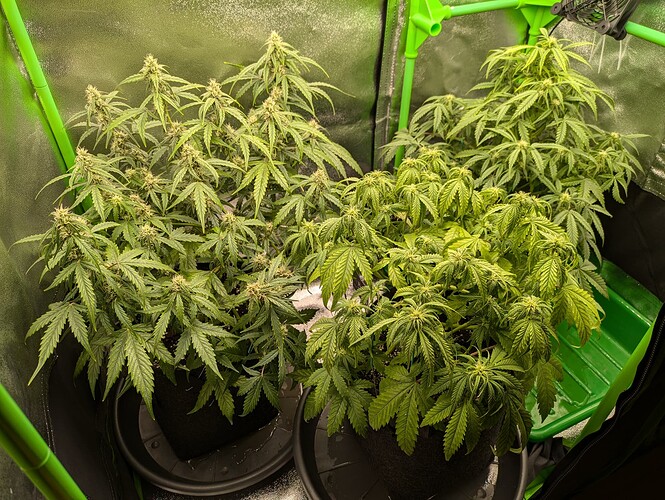 Growreport Bild 14