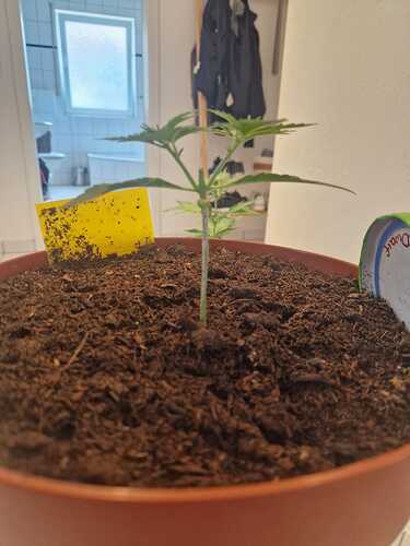 WhatsApp Image 2024-05-18 at 09.21.18 (2)