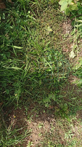 Growreport Bild 19