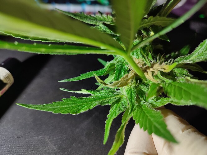 Growreport Bild 2