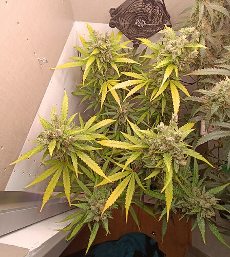 Growreport Bild 22
