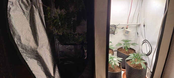 Growreport Bild 11