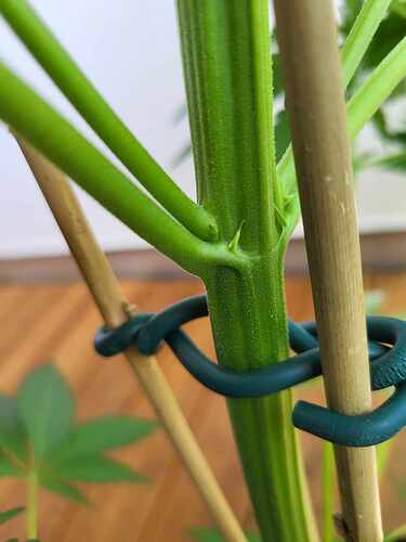 449482872_7814996101949562_6404821589061421044_n