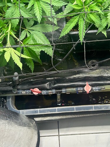 Growreport Bild 32