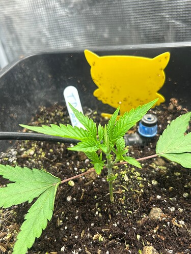 Growreport Bild 20