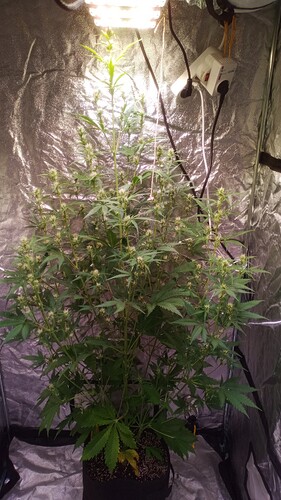 IMG_20240502_104923_949