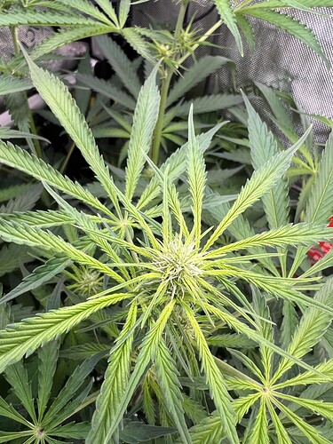Growreport Bild 9