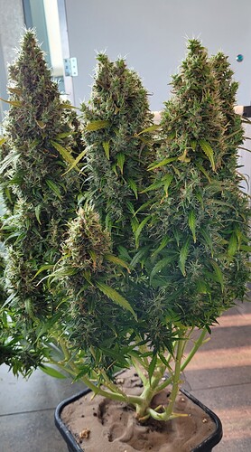 Growreport Bild 18