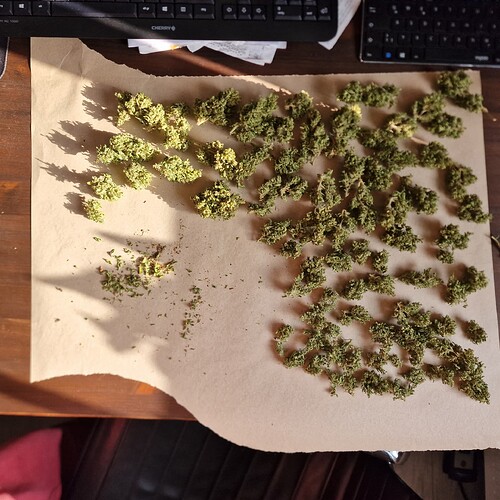 Growreport Bild 7