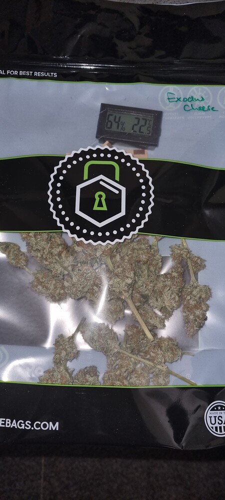 BT57 Gelato Dream (Anesia) - Ernte, Wet-Trim, Terpbagen