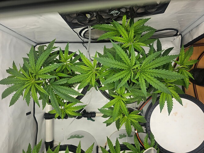 Growreport Bild 8
