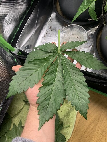 Growreport Bild 23