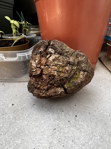 Growreport Bild 46