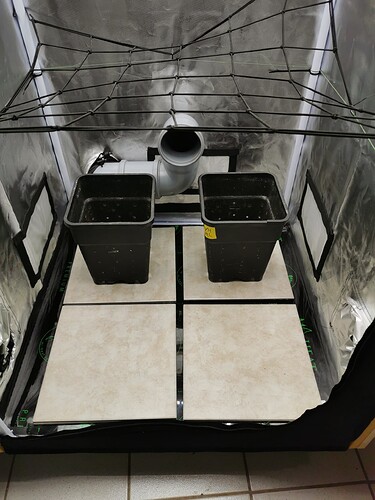 IMG_20241026_1325391