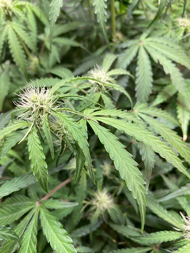 Growreport Bild 18