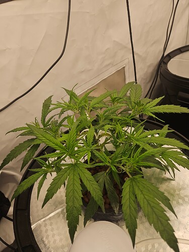 Growreport Bild 13