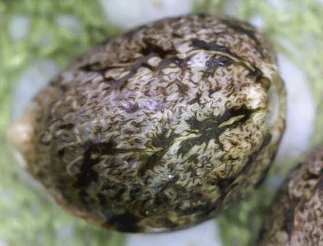 Image_2025-04-10 10_03_37_103