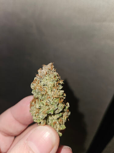 Growreport Bild 3
