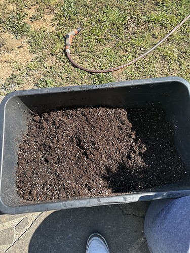 Growreport Bild 39