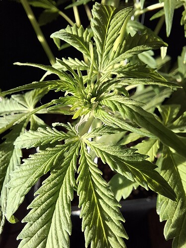 Growreport Bild 11