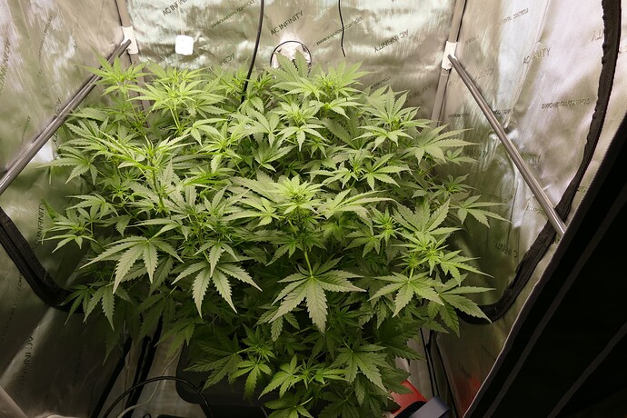 Growreport Bild 7