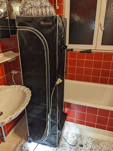 PXL_20240515_013526299