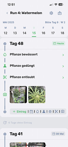Growreport Bild 6