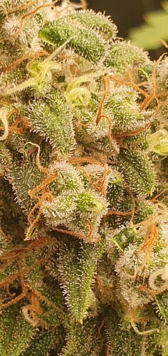 Growreport Bild 10