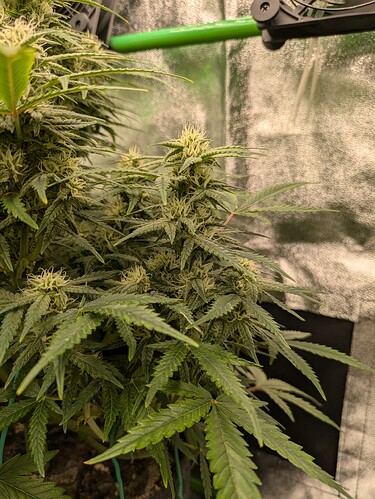 Growreport Bild 24