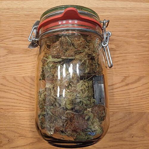 Growreport Bild 1