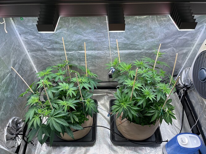 Growreport Bild 2