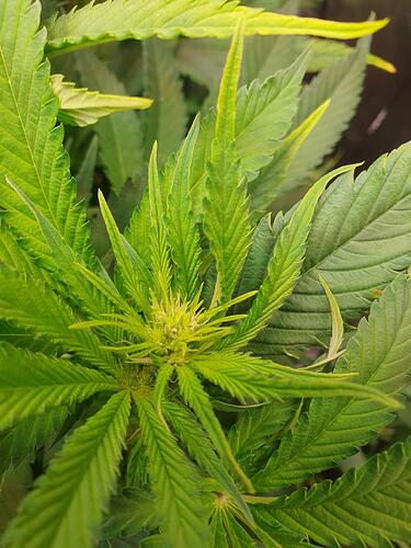 Growreport Bild 8