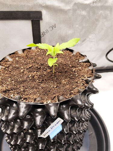 Growreport Bild 9