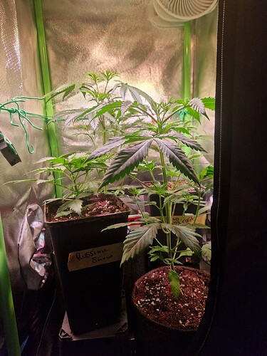 Growreport Bild 9