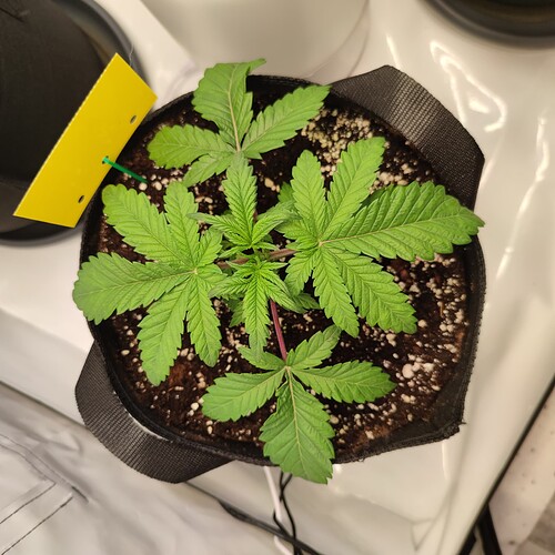 Growreport Bild 16