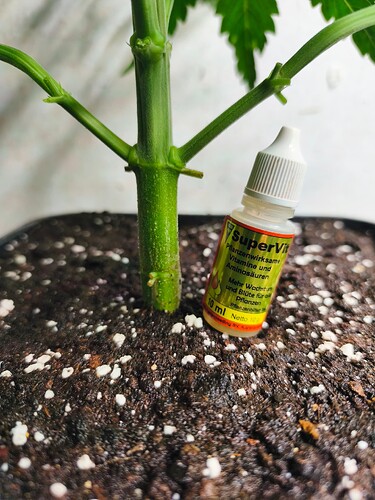 Growreport Bild 7