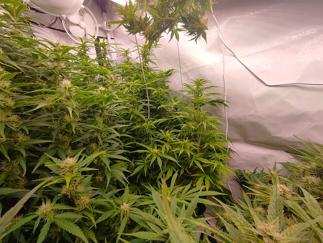 Growreport Bild 13